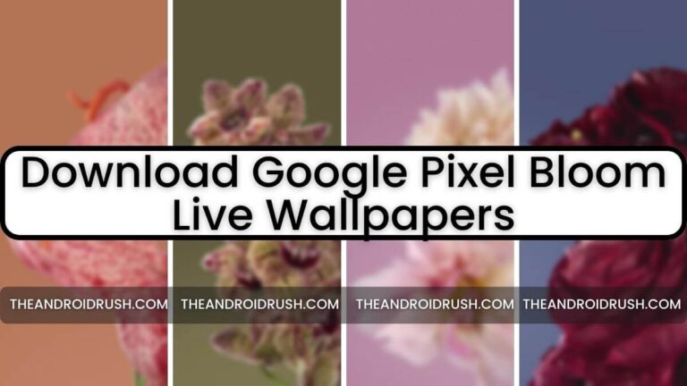 Download Google Pixel Live Bloom Wallpapers For Any Android Phone - The Android Rush